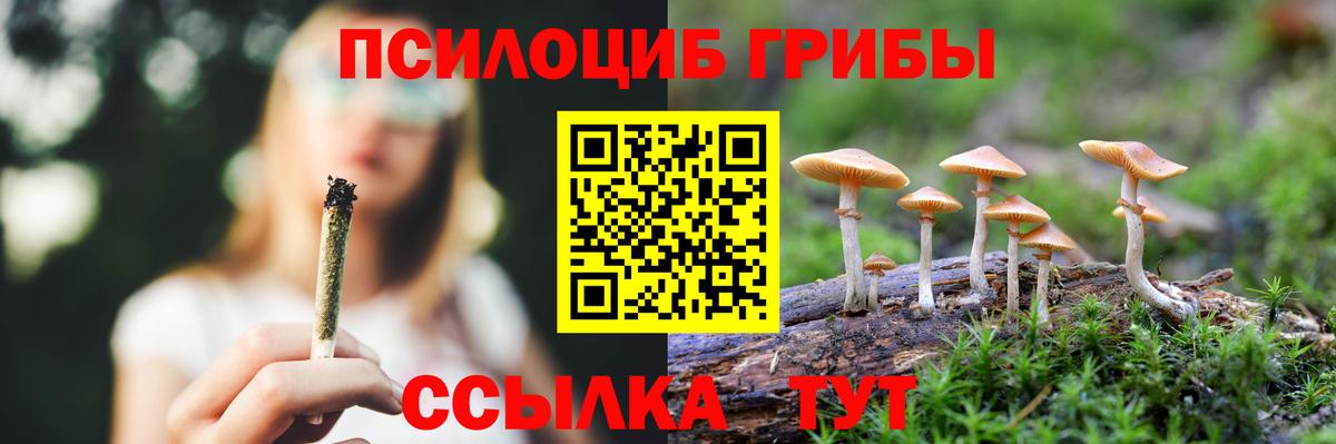 Галлюциногенные грибы Psilocybine cubensis  Вход с VPN  Мытищи 